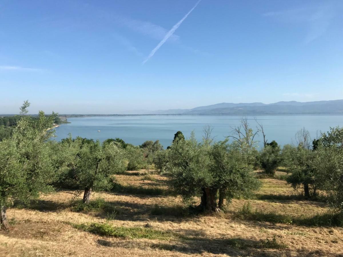 קאסטיגליונה דל לאגו I See Lake מראה חיצוני תמונה